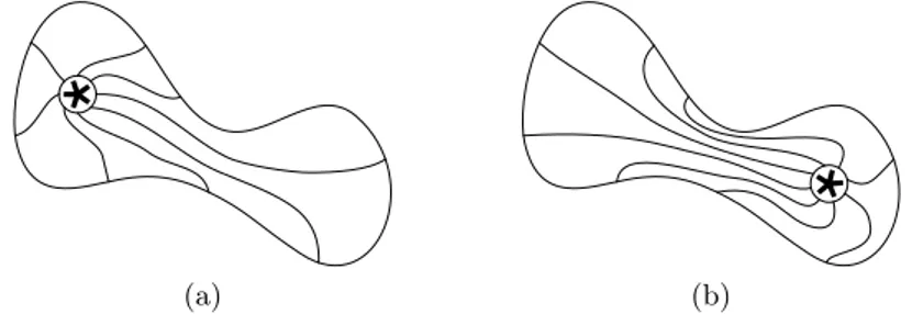 Figura 2.2: Omeomorfismo che sposta una stella