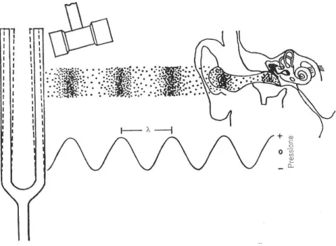 Figura 8. Schema di un campo sonoro da un diapason vibrante. In alto le onde sonore sono nell’aria con regioni di compressione e rarefazione, prodotte da un diapason