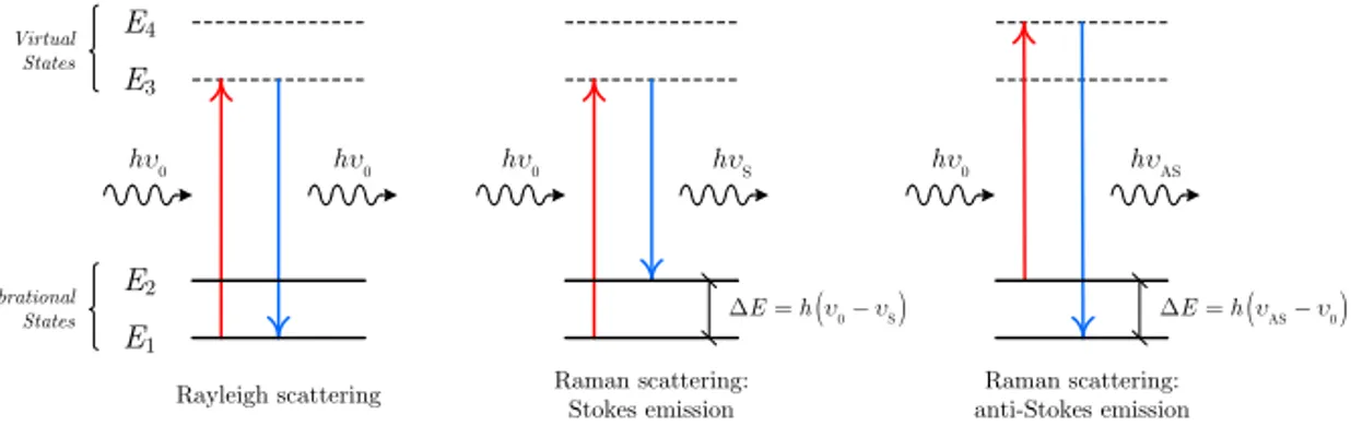 Figure 1.1: Energy transfer diagram for Rayleigh and Raman scattering