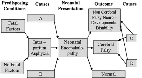 Figura 2. Rappresentazione schematica delle relazioni tra fattori di rischio fetale, asfissia intrapartum, encefalopatia neonatale e outcome 