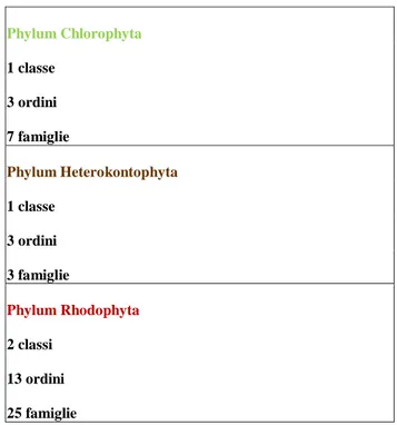 Tab. 4: Numero di classi, ordini e famiglie per i tre phyla separati. 