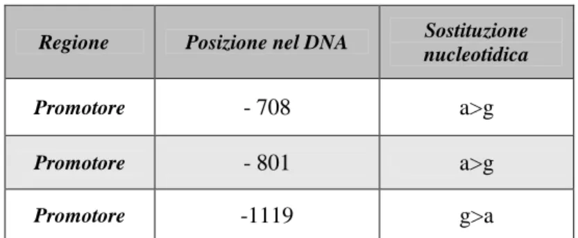 Tabella 5: Polimorfismi individuati nel promotore del gene della TPO del paziente # 3
