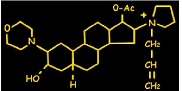 Figura 1: struttura chimica del rocuronio.