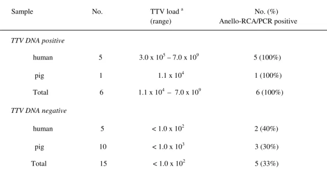 Table  4.  TTV  full-length  genome  detection  by  Anello-RCA/PCR  in  21  sera  from  humans  and  pigs,  known  to  be  TTV  DNA  positive  or  negative  by  quantitative   real-time PCR