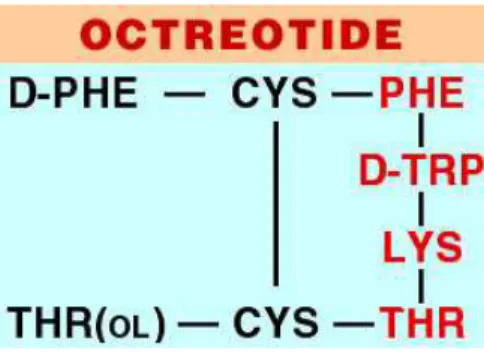 Figure 5: Octreotide. Pharmacophore corresponds to the red aminoacids. 
