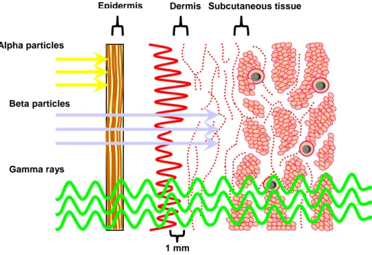 Figure 7: Penetration of Particulate and  Electromagnetic Radiation.  