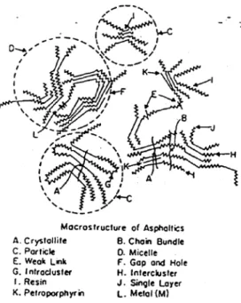 Figure 2.8  General feature of macrostructure of asphaltene and related components. 