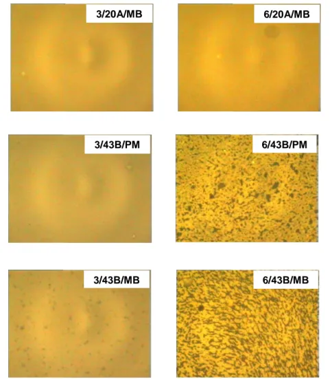 Figure 3.1  Fluoroscence microscopy of produced mixtures (continued) 