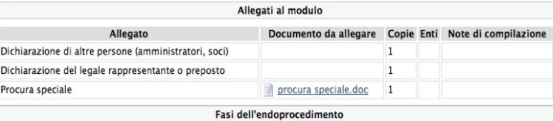 Figura 5: esempio di struttura della scheda procedimento 