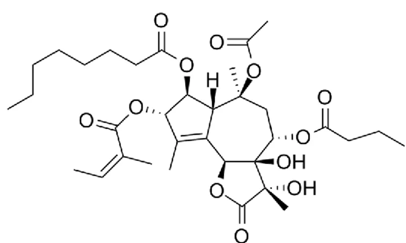 Figure 9: molecular structure of thapsigargine. From website: http://en.wikipedia.org/wiki/Thapsigargin 