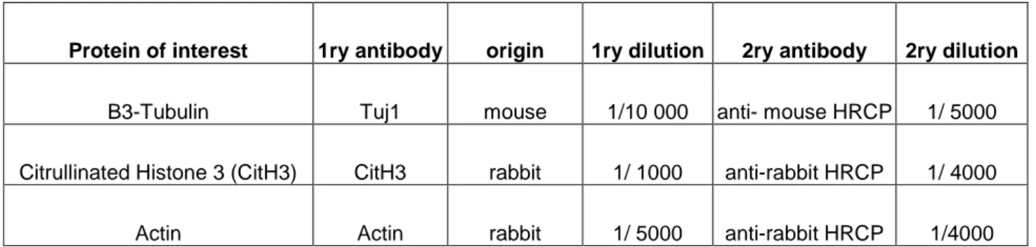 Table 6: primary and secondary antibodies used for western blotting. 1ry: primary; 2ry: secondary 