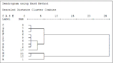 Figura 28: Hierarchical Cluster Analysis dei campioni di Abelmoschus 