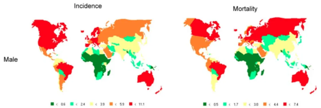 Figure  2:  Global  incidence  and  mortality  rates  of  male  individuals  affected  by  nervous  system  tumor,  adjusted to the World Standard Population (all ages; per 100,000 persons per year)  [ Farlay J
