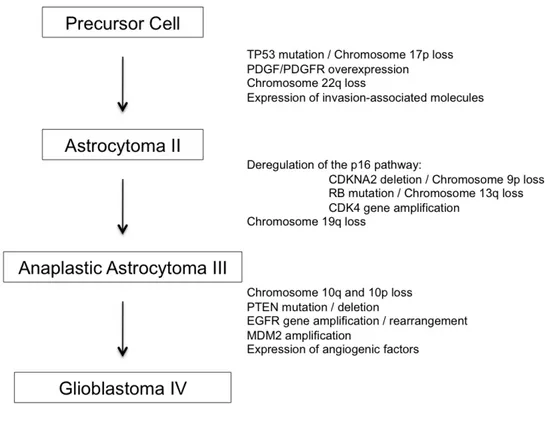 Figure 5: Molecular genetic alterations characteristic of different grade of astrocytomas 