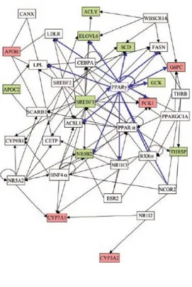 Figura 6 1.5 Esempi di patologie associate alla nutrigenetica