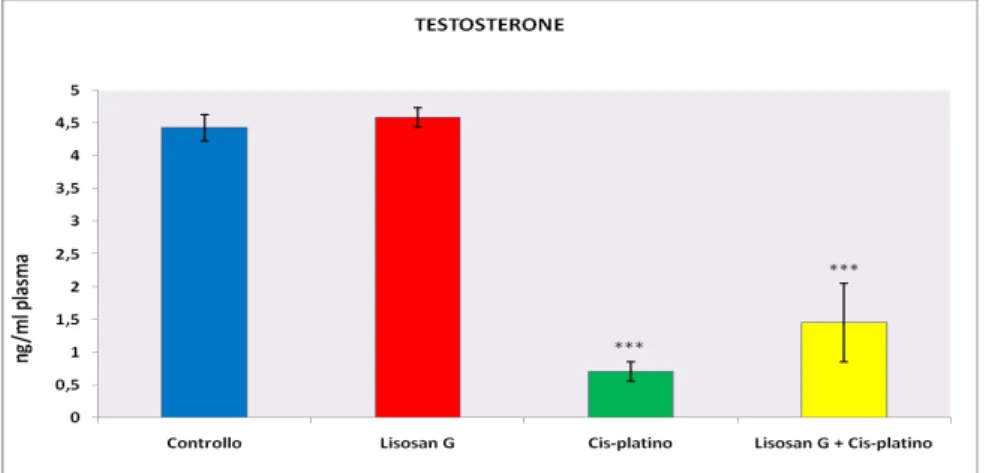 Fig. 18 Determinazione del contenuto di testosterone nel plasma di ratti di controllo, alimentati  con  Lisosan G, trattati con Cis-platino, alimentati con Lisosan G e trattati con Cis-platino