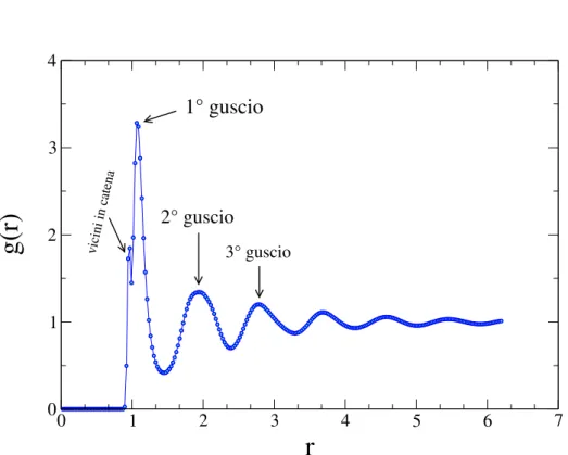 Figura 2.3: In questa gura è rappresentato il tipico andamento della funzione di distribuzione radiale di coppia per un sistema disordinato isotropo