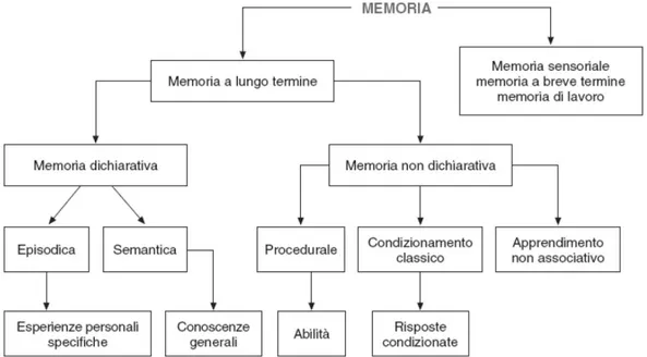 Figura 3  I sistemi di memoria (Adattato da Brandimonte, 2007). 