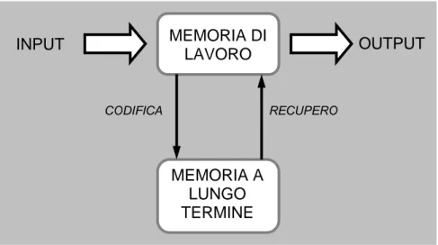 Figura 4  Rappresentazione  schematica  del funzionamento della memoria  dichiarativa (Adattato da Watson e Leverenz, 2010)