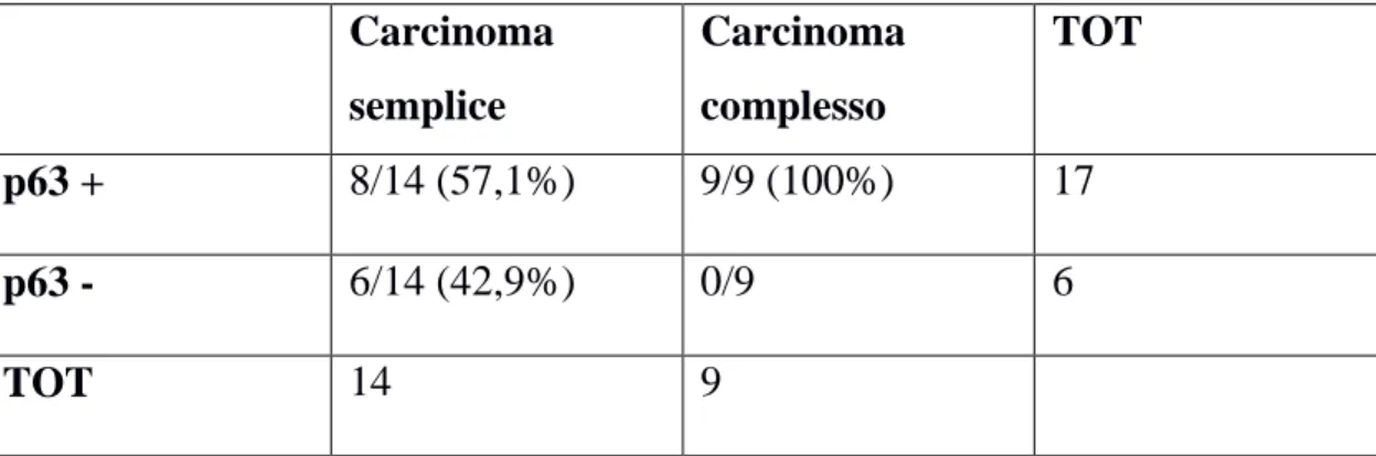 TABELLA 5:  Correlazione tra l’espressione della p63 e il tipo istologico  dei carcinomi mammari canini