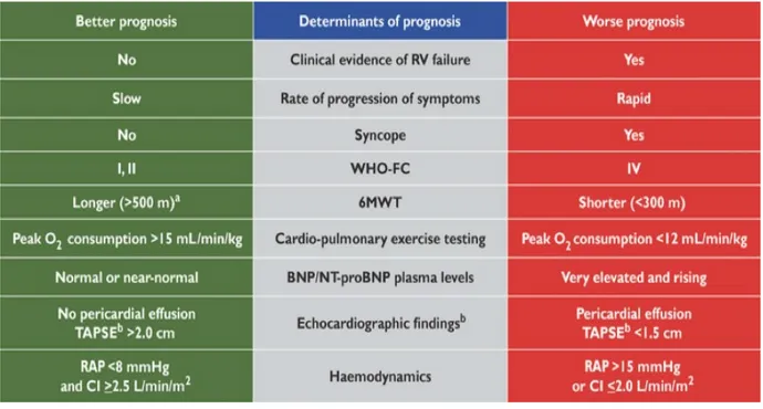 Figura  4.  Parametri  di  definita  importanza  nel  determinare  la  gravità  di  malattia, la stabilità e la prognosi nei pazienti affetti da PAH (2) 