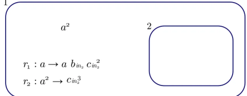 Figure 4.1: An example of P system model.