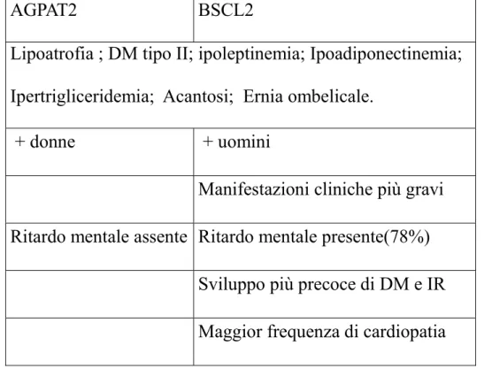 Tabella 2: relazione tra genotipo e fenotipo nella sindrome di Berardinelli-Seip 