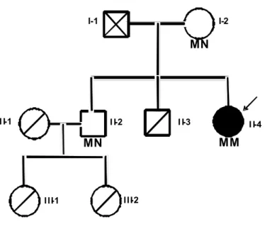 Figura 8: pedigree e genotipo dei membri della famiglia del soggetto affetto da CGL (indicato da  una freccia)