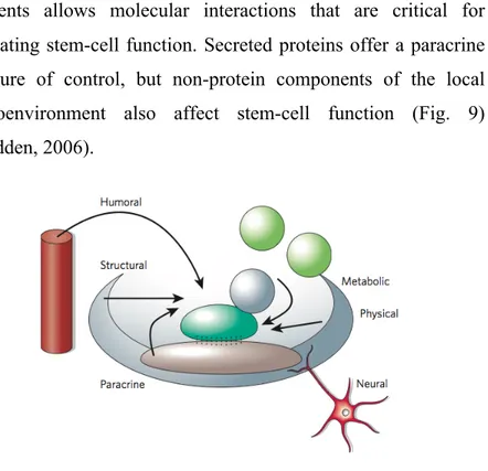 Figure 9: Inputs feeding back on stem-cell function in the niche. 