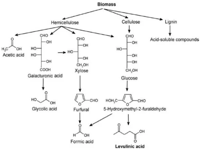 Figura 1 - Principali prodotti derivanti dall'idrolisi acida di biomassa. 