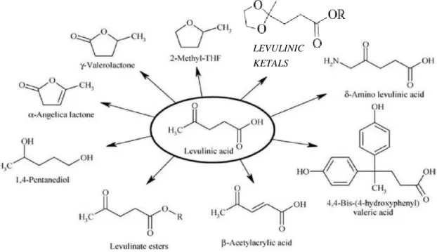 Figura 1 - L'acido levulinico come piattaforma chimica. 