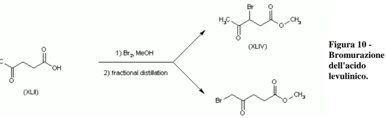 Figura 10 -  Bromurazione  dell'acido  levulinico.  Figura 11 -  Sintesi  dell'acido  succinico