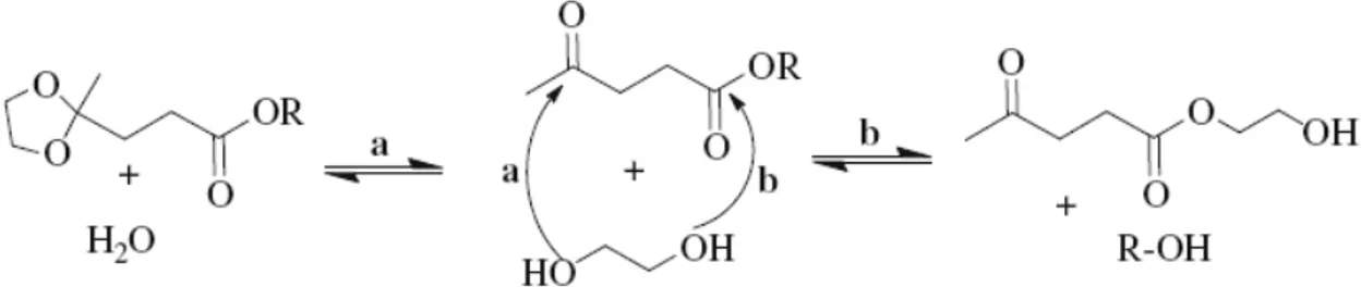 Tabella 1- Caratteristiche delle zeoliti testate come catalizzatori acidi eterogenei della razione di  chetalizzazione