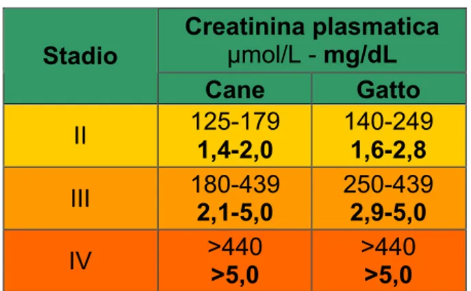 Tabella 1: Classificazione IRIS della CKD. (15)    Creatinina plasmatica  µmol/L - mg/dL  Stadio  Cane  Gatto  II  125-179    1,4-2,0  140-249   1,6-2,8  III  180-439    2,1-5,0  250-439   2,9-5,0  IV  &gt;440        &gt;5,0  &gt;440       &gt;5,0  Per ent