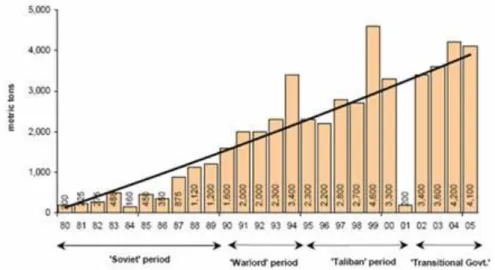 Figura 26: Il grafico mostra l’andamento della produzione di oppio dal 1980 al 2005. 