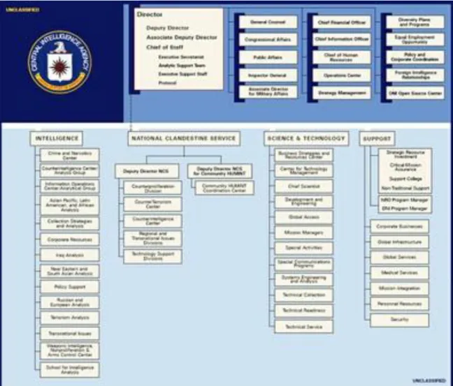 Figura 9: Organizzazione interna della CIA. 