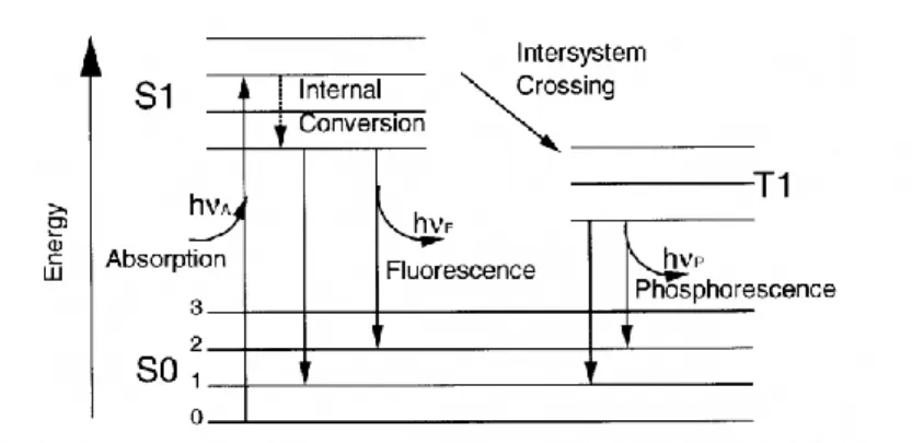 Figure 12. Energetic Transitions of Electrons During Fluorescence. 