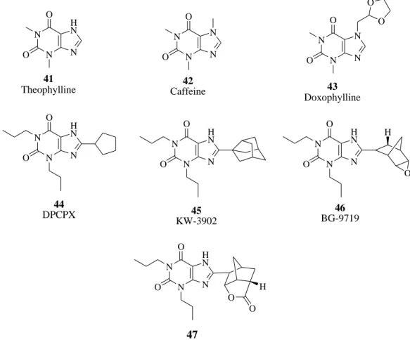 Figure 47. A 1  AR antagonists (Xanthines). 