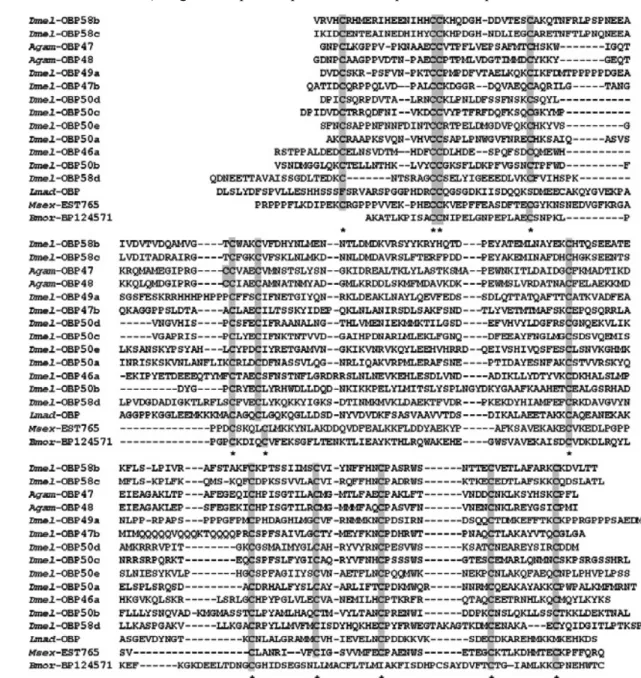 Fig.  5. Sequences  of  C-plus  OBPs  containing  four  to  six  more  cysteines  in  addition  to  the  six  conserved motif