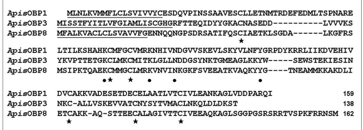 Fig.  15. Amino  acid  sequences  of  three  classical  OBPs of  A. pisum (OBP1,  OBP3,  OBP8) expressed in bacteria