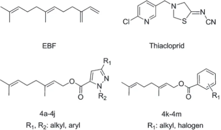 Figure 1. Structure of (E)-β-farnesene (EBF), the alarm pheromone for most aphid species, thiacloprid, the insecticide used as reference in the mortality experiments, and the general structures of the two classes of synthetic compounds described in this wo
