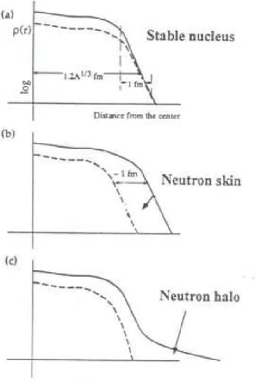 Figure 1.3: Density distributions as a function of distance: (a) stable nucleus; (b) neutron skin; (c) neutron halo.