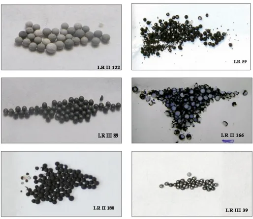 Figure 2.5.8: Appearance of the catalysts after the drop tests cunducted at an initial temper- temper-ature of 20°C.