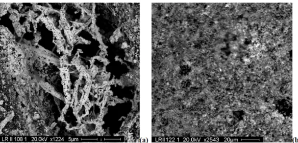 Figure 2.7.2: Scanning electron micrographs of LR-II-108 Pt/SiC catalyst; (a) and LR-II-122 P t/α =Al 2 O 3 (b)