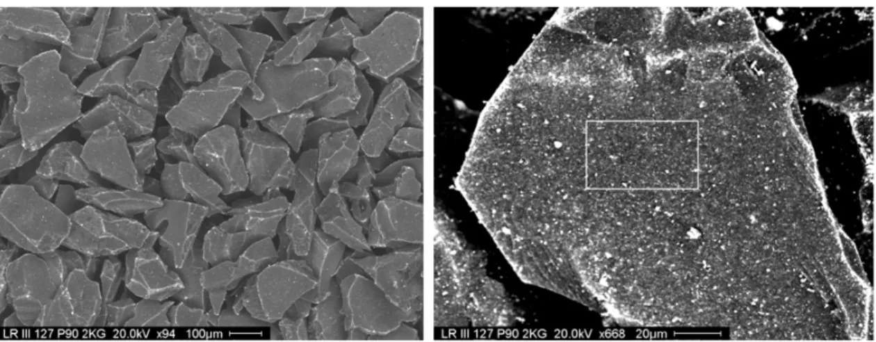 Figure 2.7.24: LR-III-127 sample. SEM picture of one of the microanalysis areas reported in Table 2.6