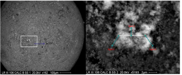 Figure 2.7.29: SEM picture of a LR-III-106 SS sphere (left) and enlargement of white super-