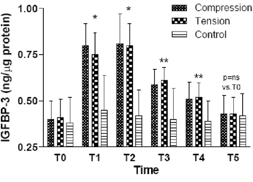 Fig. 2. Cambiamenti nel contenuto di IGFBP-3 nel CGF ai differenti tempi presi in esame negli  elementi dentari sottoposti a compressione e tensione