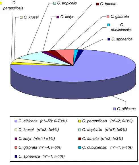 Figura 19.  Distribuzione  delle principali specie di  lievito isolate  da pazienti  di  medicina  generale  (numero  totale=79)
