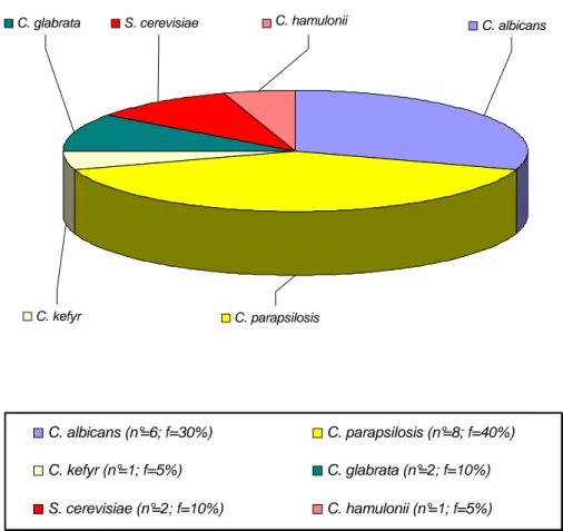 Figura  26.  Distribuzione  delle  principali  specie  di  lievito,  isolate  da  vari  tamponi  (tamponi  vaginali,  cutanei,  nasali,  auricolari,  anali)