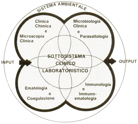 Figura 2.2: Il laboratorio clinico come sottosistema dell’ambiente